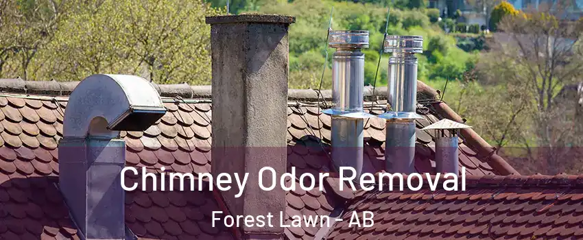  Chimney Odor Removal Forest Lawn - AB