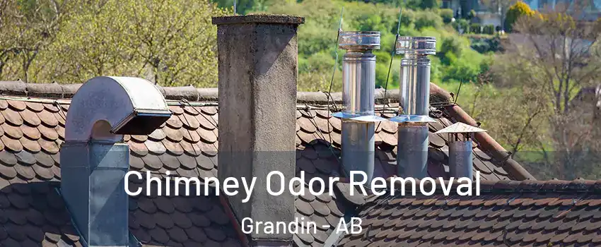  Chimney Odor Removal Grandin - AB