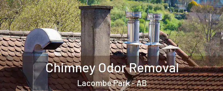  Chimney Odor Removal Lacombe Park - AB