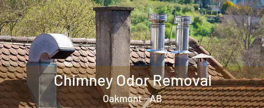  Chimney Odor Removal Oakmont - AB