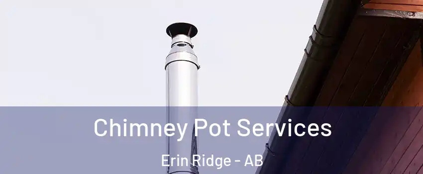  Chimney Pot Services Erin Ridge - AB