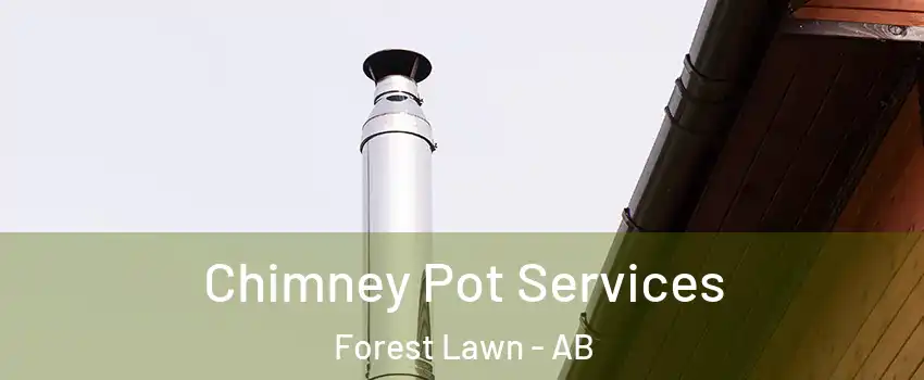  Chimney Pot Services Forest Lawn - AB