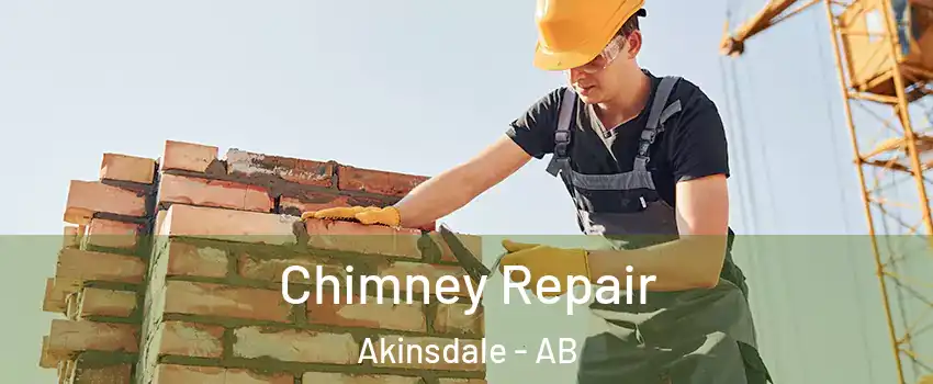  Chimney Repair Akinsdale - AB