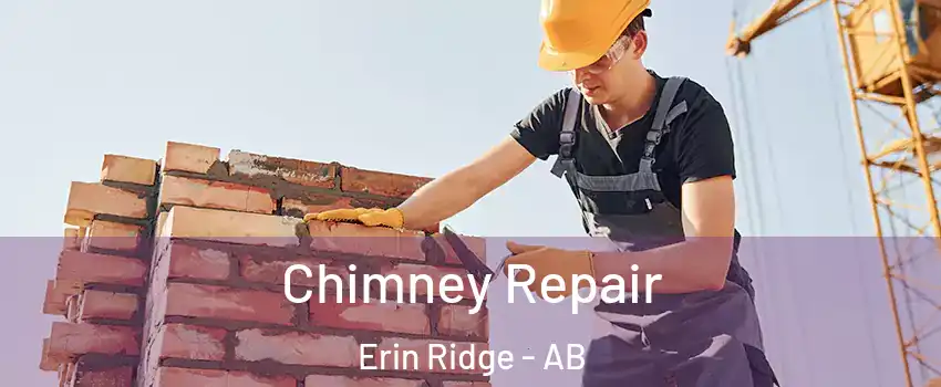  Chimney Repair Erin Ridge - AB