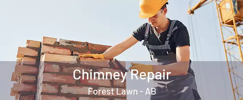  Chimney Repair Forest Lawn - AB