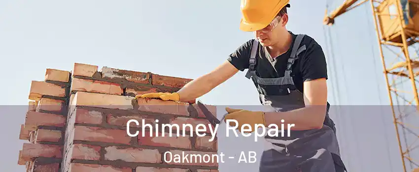  Chimney Repair Oakmont - AB