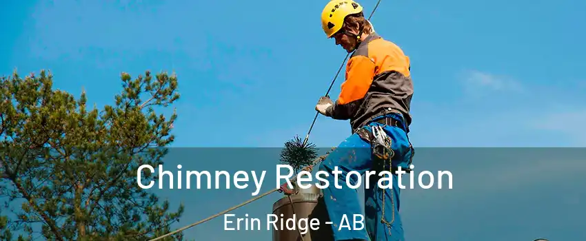  Chimney Restoration Erin Ridge - AB