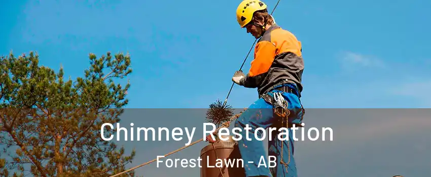  Chimney Restoration Forest Lawn - AB