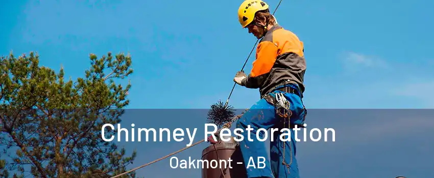  Chimney Restoration Oakmont - AB