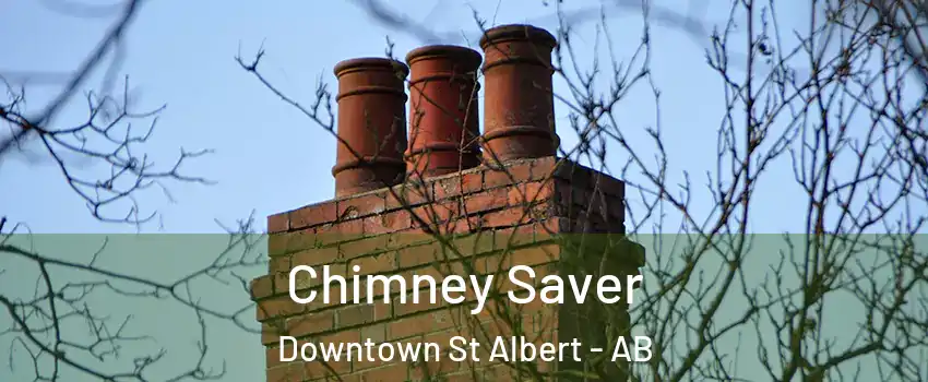  Chimney Saver Downtown St Albert - AB