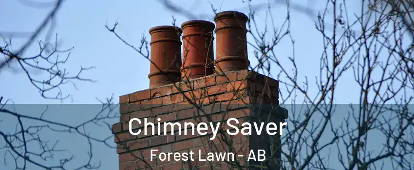  Chimney Saver Forest Lawn - AB