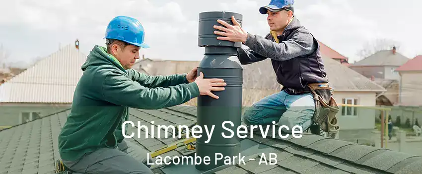  Chimney Service Lacombe Park - AB