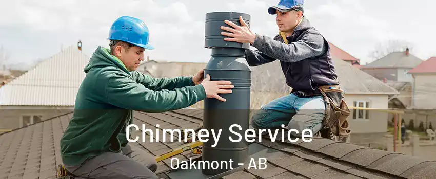  Chimney Service Oakmont - AB