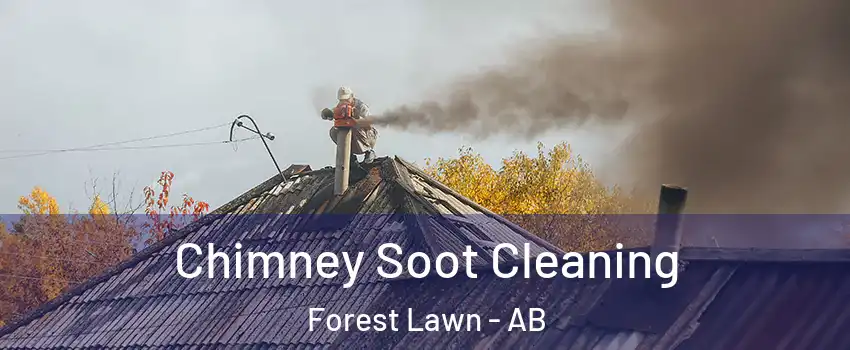  Chimney Soot Cleaning Forest Lawn - AB