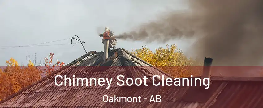  Chimney Soot Cleaning Oakmont - AB