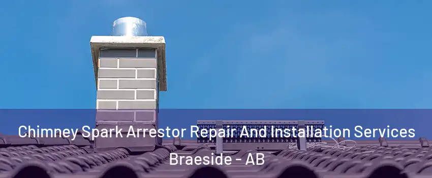 Chimney Spark Arrestor Repair And Installation Services Braeside - AB