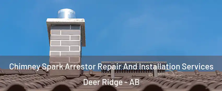  Chimney Spark Arrestor Repair And Installation Services Deer Ridge - AB