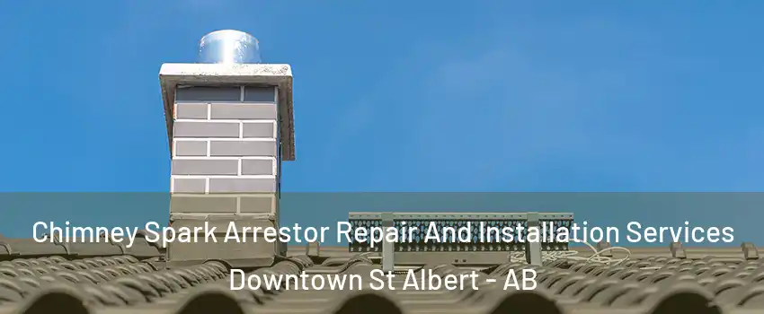  Chimney Spark Arrestor Repair And Installation Services Downtown St Albert - AB