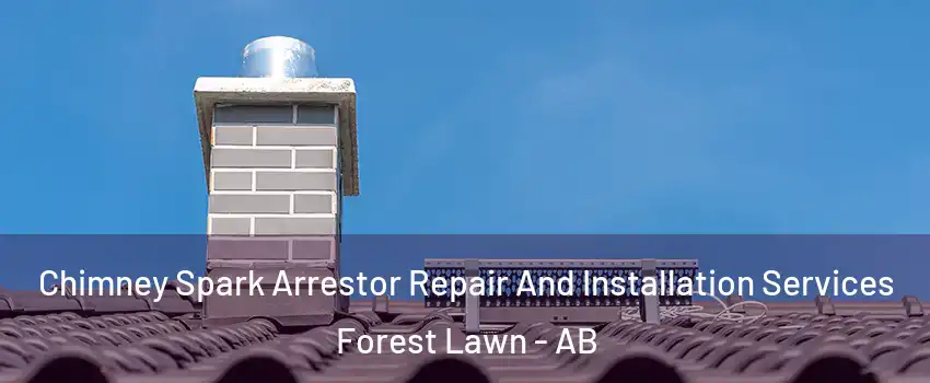  Chimney Spark Arrestor Repair And Installation Services Forest Lawn - AB