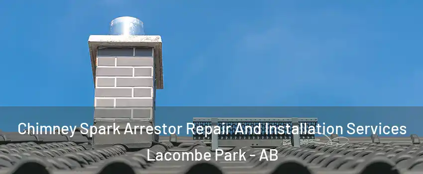  Chimney Spark Arrestor Repair And Installation Services Lacombe Park - AB