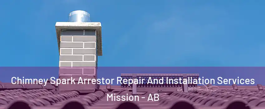  Chimney Spark Arrestor Repair And Installation Services Mission - AB