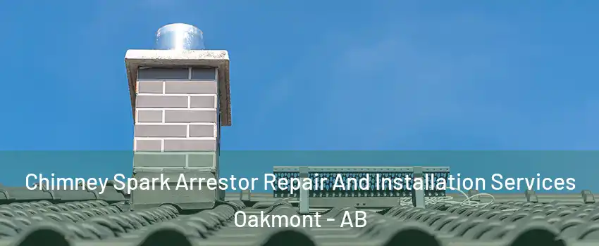  Chimney Spark Arrestor Repair And Installation Services Oakmont - AB