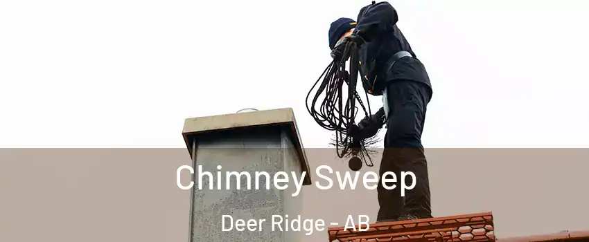  Chimney Sweep Deer Ridge - AB