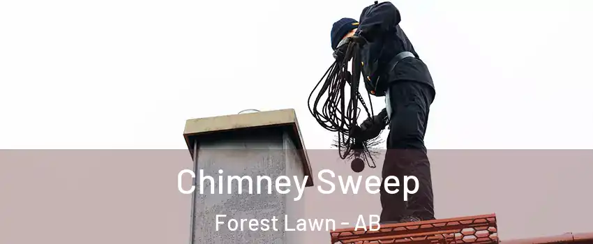  Chimney Sweep Forest Lawn - AB