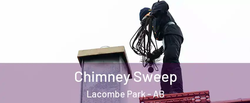  Chimney Sweep Lacombe Park - AB