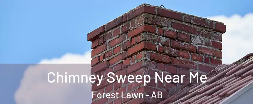  Chimney Sweep Near Me Forest Lawn - AB