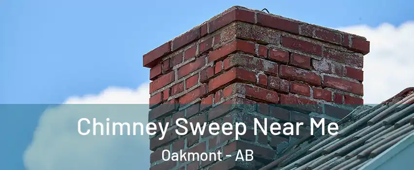  Chimney Sweep Near Me Oakmont - AB