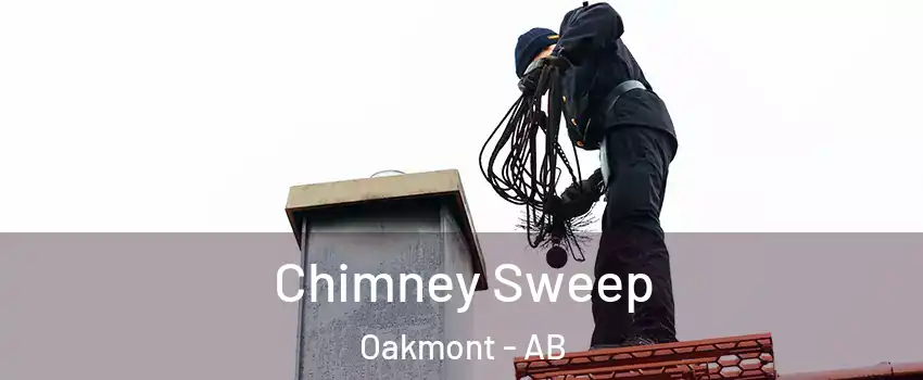  Chimney Sweep Oakmont - AB