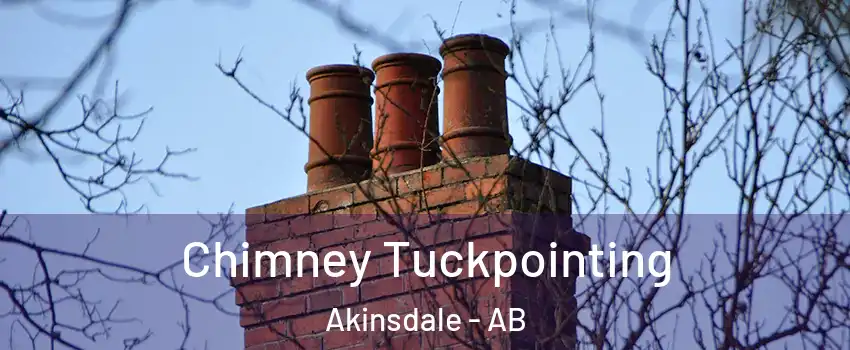  Chimney Tuckpointing Akinsdale - AB