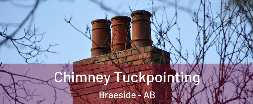  Chimney Tuckpointing Braeside - AB