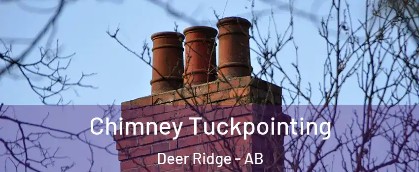  Chimney Tuckpointing Deer Ridge - AB