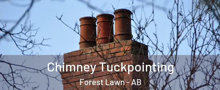  Chimney Tuckpointing Forest Lawn - AB