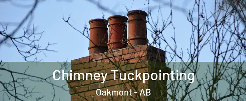  Chimney Tuckpointing Oakmont - AB
