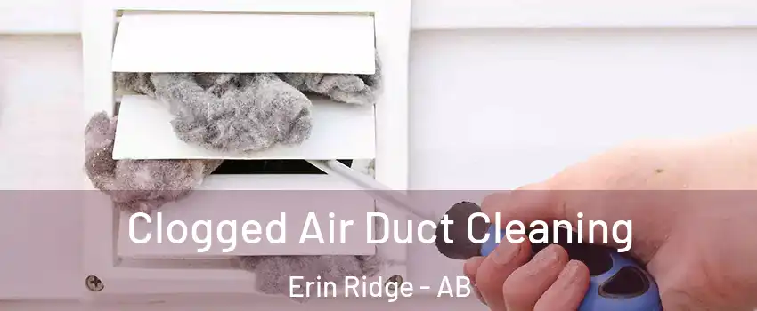  Clogged Air Duct Cleaning Erin Ridge - AB