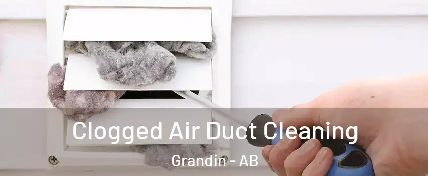  Clogged Air Duct Cleaning Grandin - AB