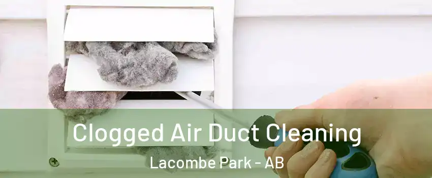  Clogged Air Duct Cleaning Lacombe Park - AB