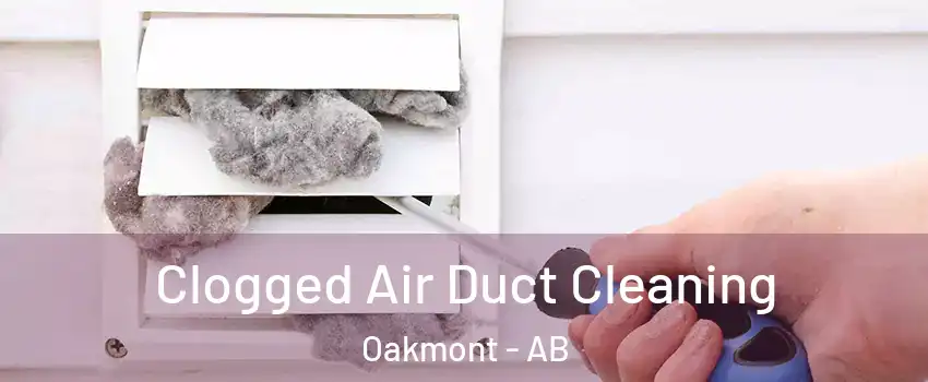  Clogged Air Duct Cleaning Oakmont - AB