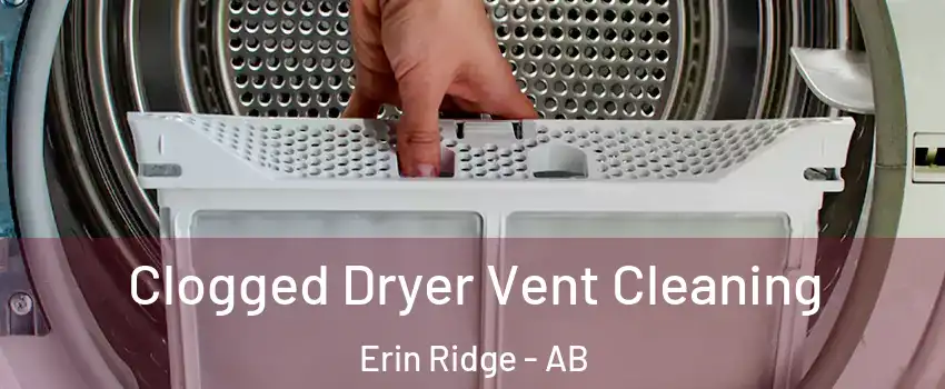  Clogged Dryer Vent Cleaning Erin Ridge - AB