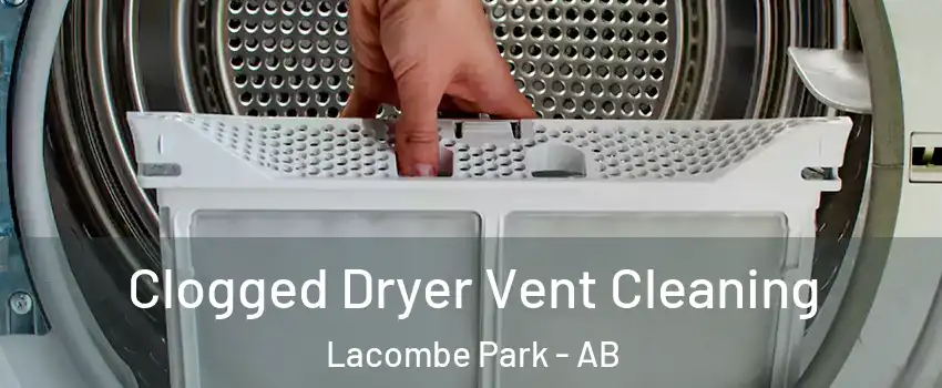  Clogged Dryer Vent Cleaning Lacombe Park - AB