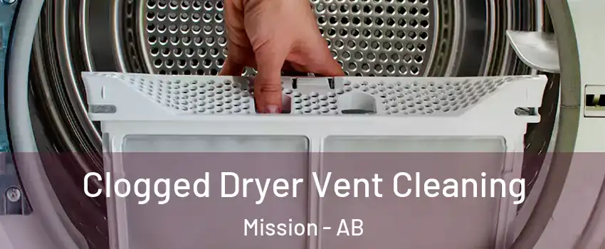  Clogged Dryer Vent Cleaning Mission - AB