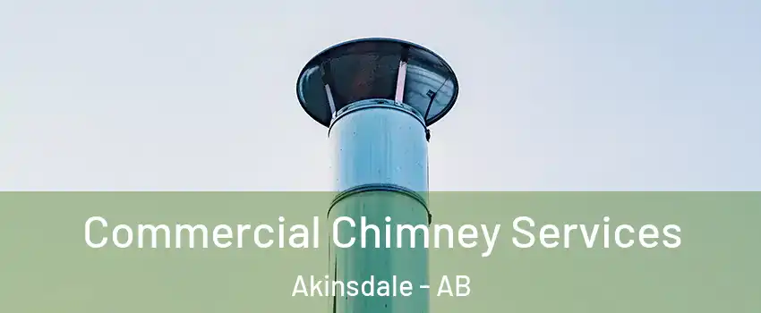  Commercial Chimney Services Akinsdale - AB