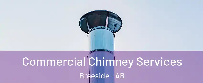  Commercial Chimney Services Braeside - AB