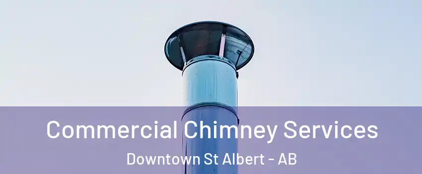  Commercial Chimney Services Downtown St Albert - AB