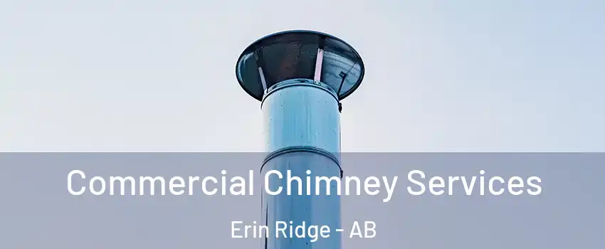  Commercial Chimney Services Erin Ridge - AB