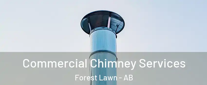  Commercial Chimney Services Forest Lawn - AB