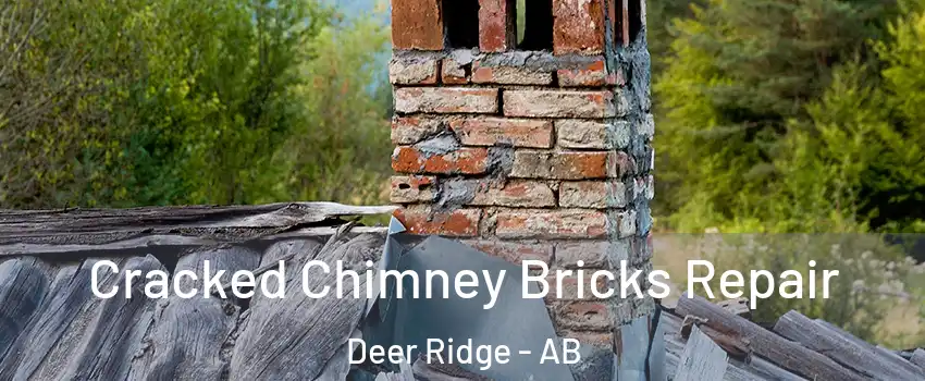 Cracked Chimney Bricks Repair Deer Ridge - AB